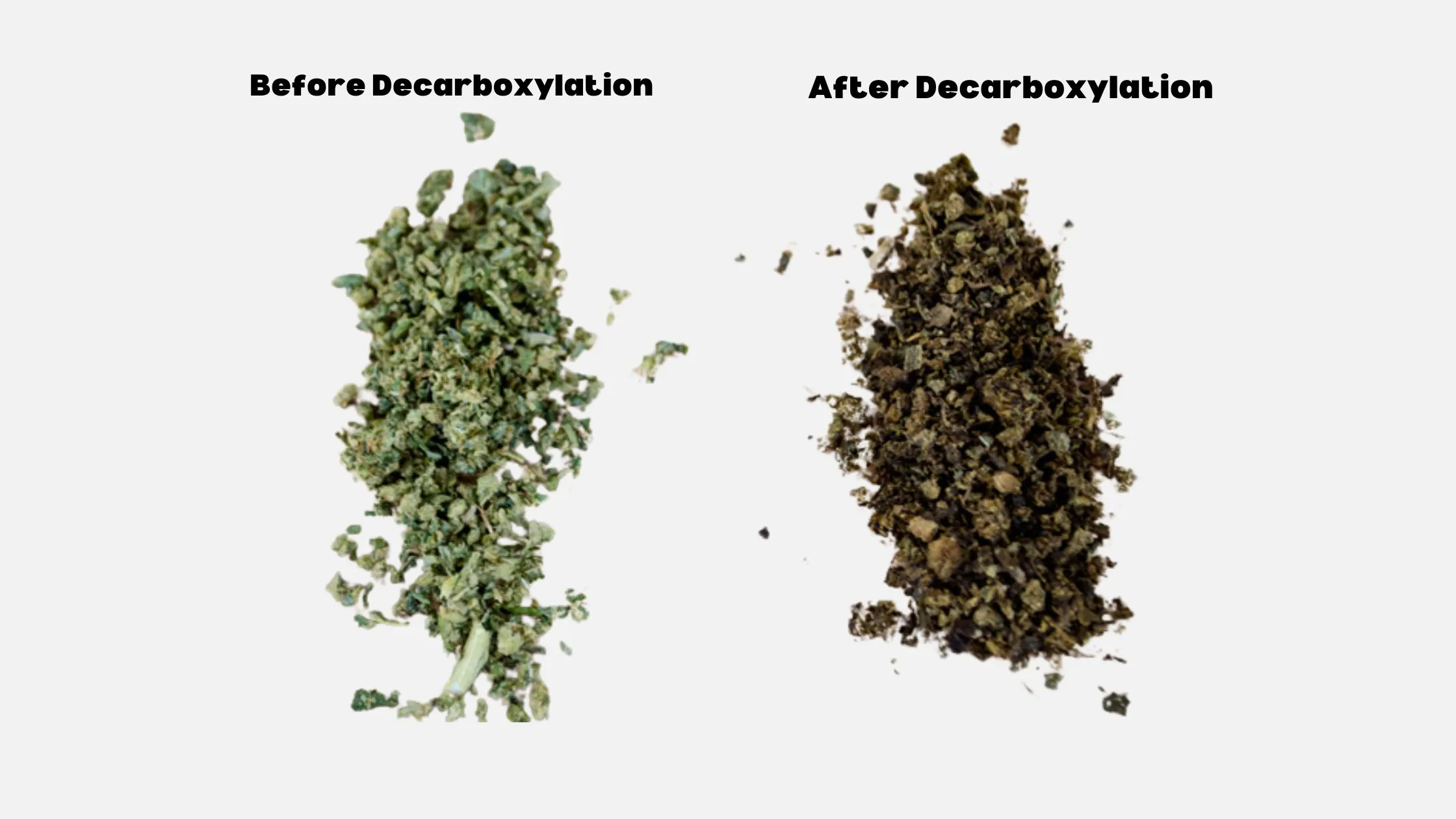 Weed Before and After Decarb