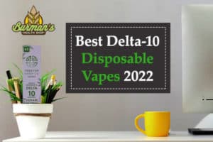 Best Delta-10 Disposable Vapes 2022: Know Everything