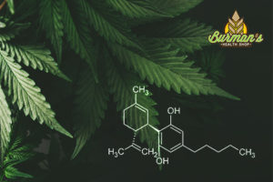 THCP, THCJD, and THCH: New Potent Cannabinoids