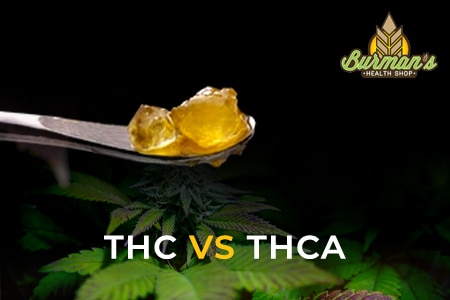THC vs THCA: What is the difference? 
