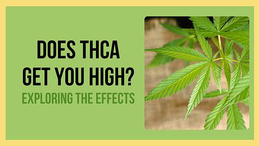 Does THCA Get You High? Exploring the Effects