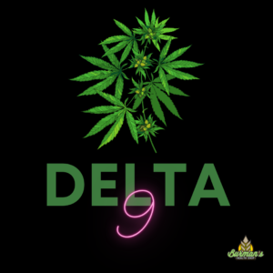 Best Delta-9 Gummies to Buy Online in 2022: Top Weed Edibles On Sale