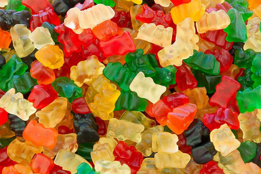 gummy bear snack