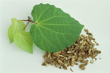 Kava for Anxiety Guide: Benefits & Dosage